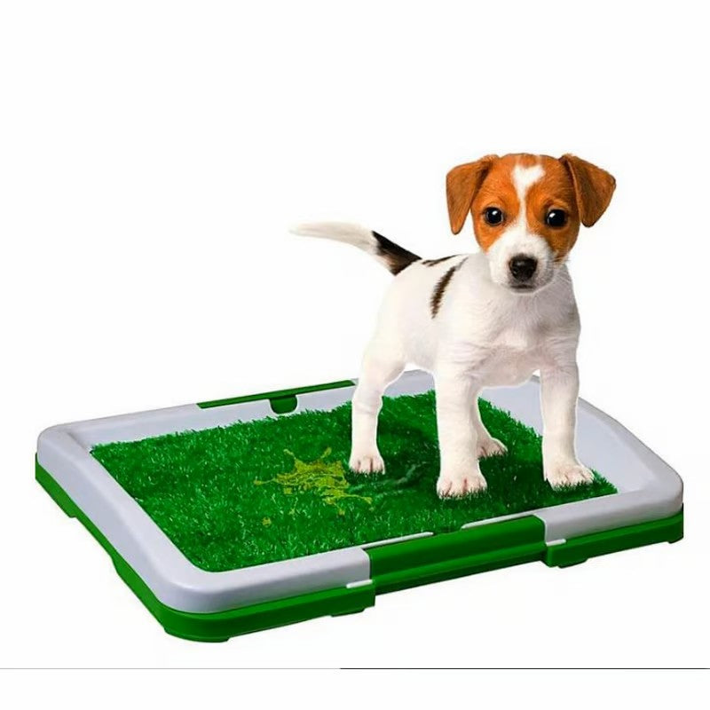 Alfombra Absorbente Para Mascotas